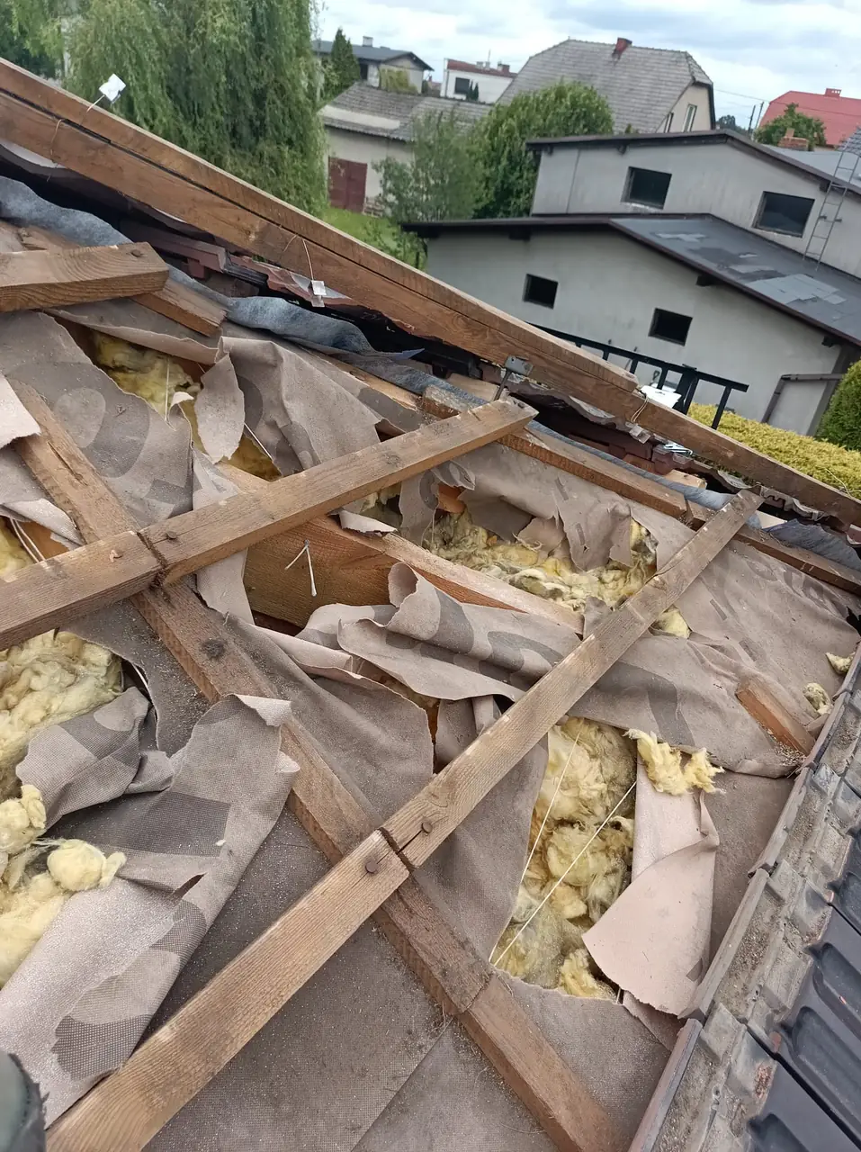 Wełna mineralna w więźbie dachowej rozerwana przez kuny